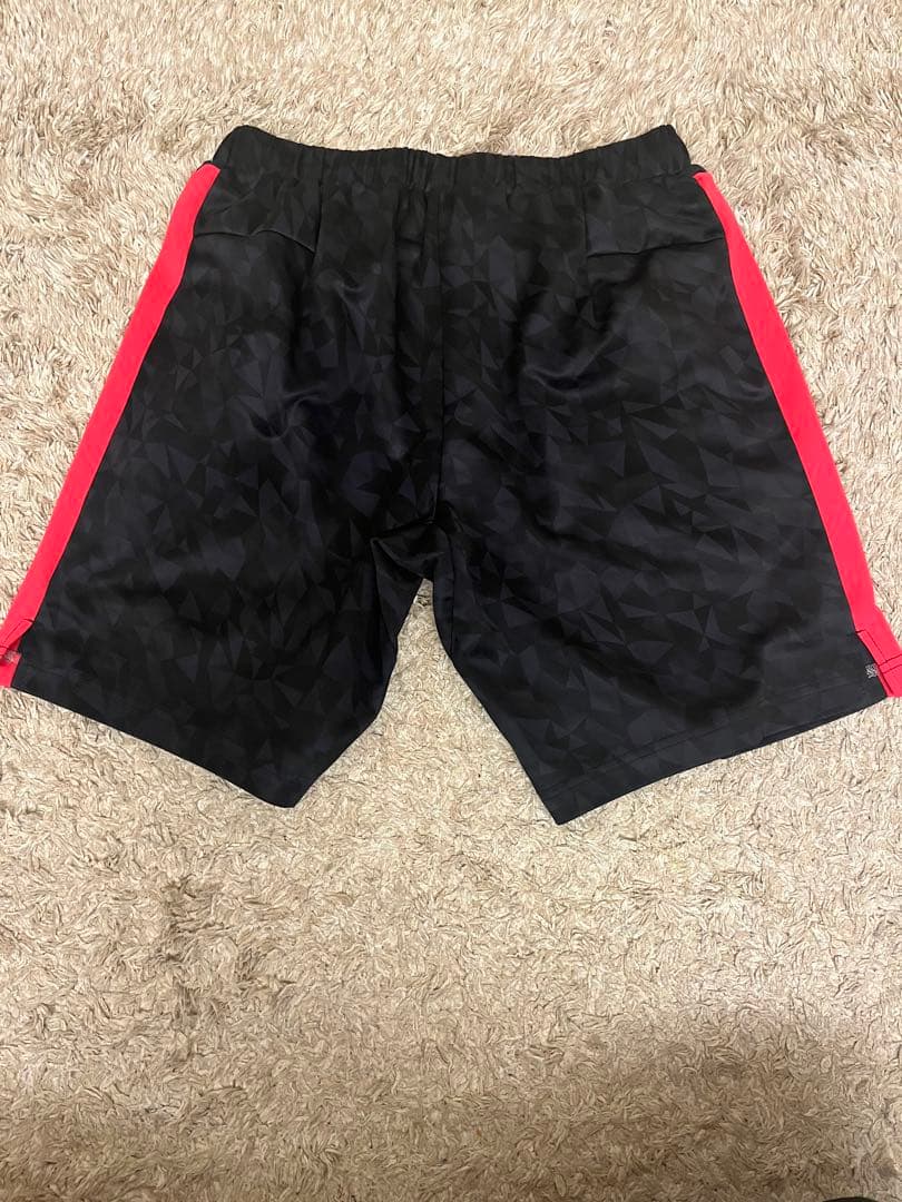 ヨネックス　日本代表　ハーフパンツ