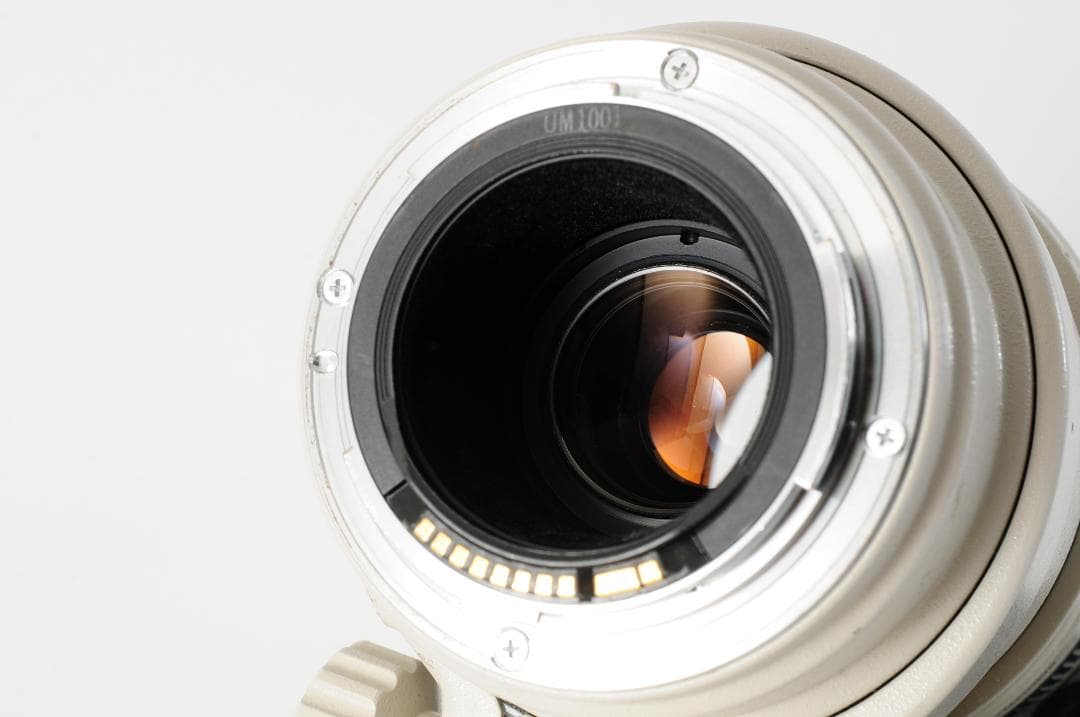 レンズ(ズーム) Canon EF 100-400mm F4.5-5.6L IS USM #955