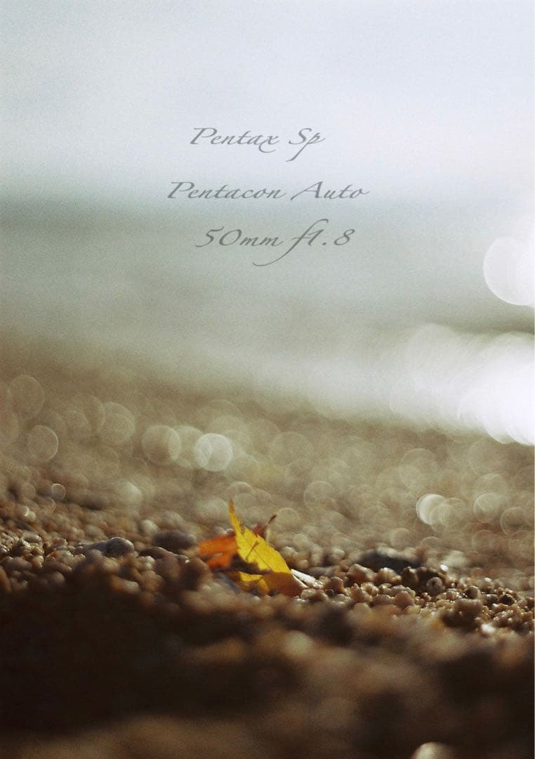 ★希少★PENTACON 50mm f1.8★pentax sp ★完動品＊美品