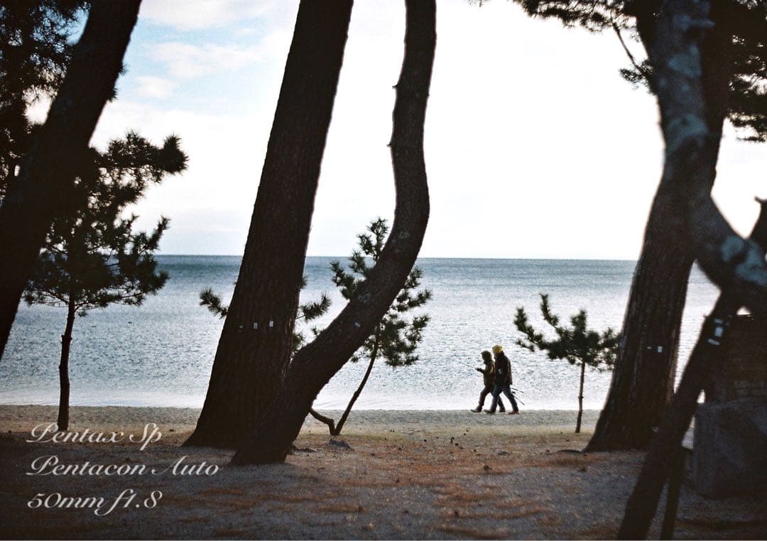 ★希少★PENTACON 50mm f1.8★pentax sp ★完動品＊美品