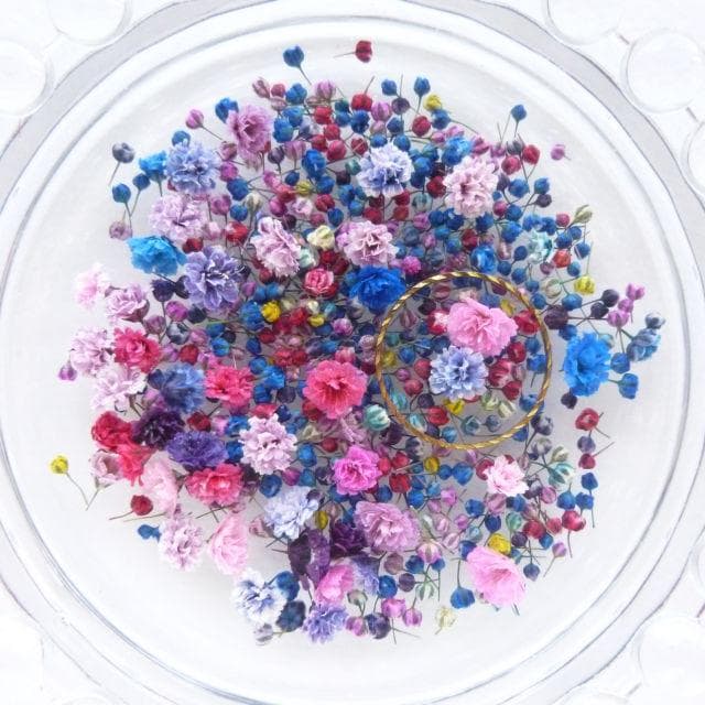 ResinArt❁NICOLE❁様◆【ドライフラワー】かすみ草の蕾 着色（846