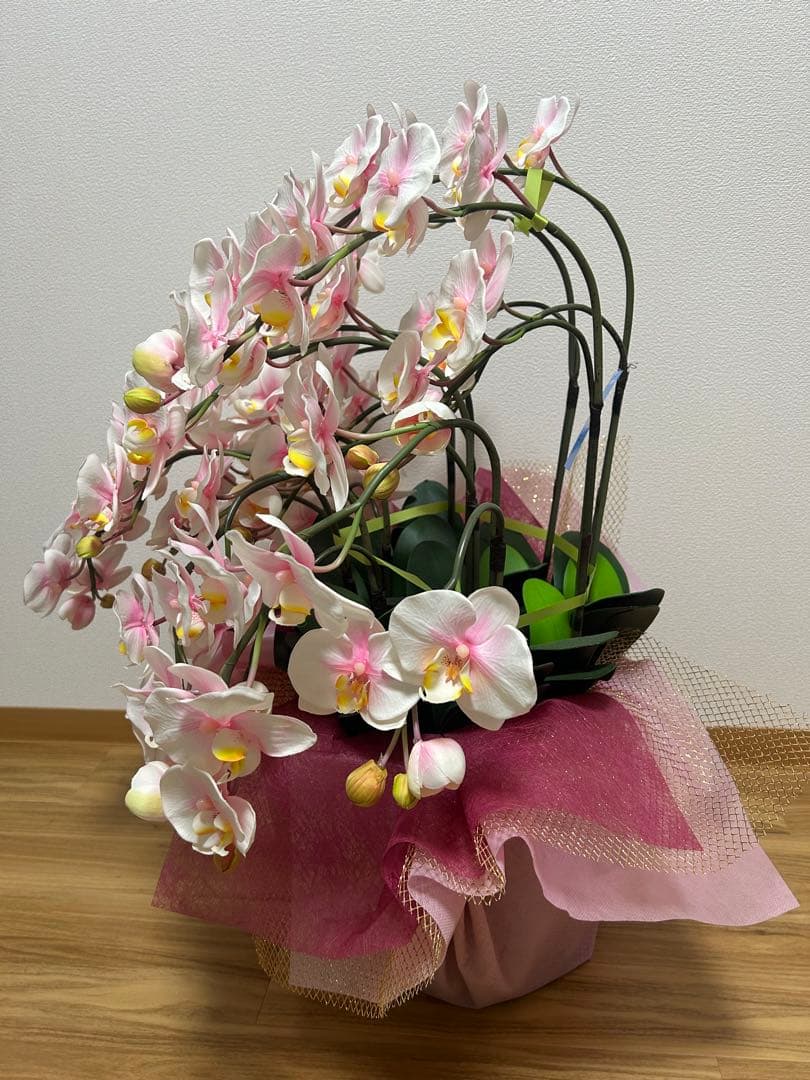 ピンク 胡蝶蘭 スタンド花 リボン付き