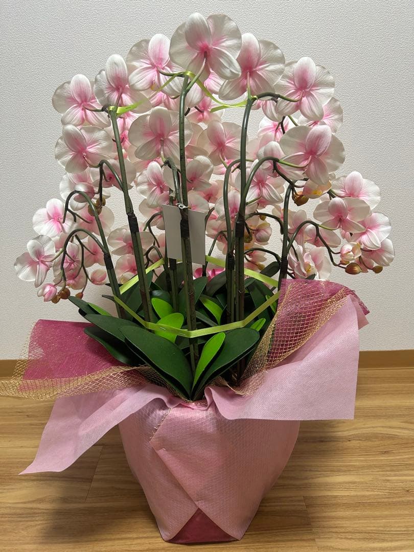 ピンク 胡蝶蘭 スタンド花 リボン付き