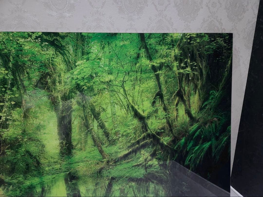 YellowKornerイエローコーナー パラダイス・フォレスト アートパネル