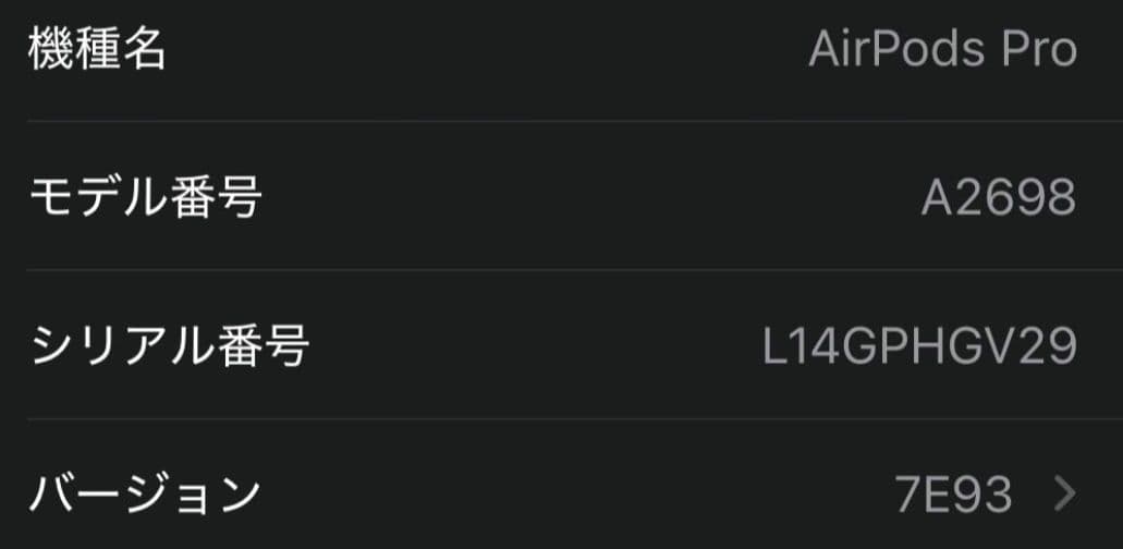 Apple AirPods Pro 第2世代 本体 ケース付き