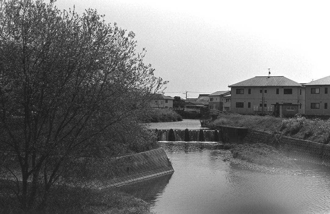 【整備済完動】PENTAX MX 黒/SMC PENTAX 50mm F1.4