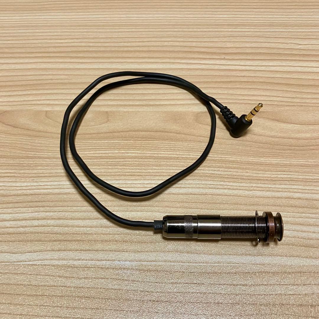 ギター L.R. Baggs M1 Active