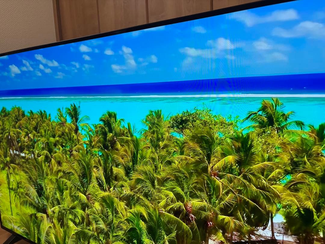 【美品】48V型 有機ELテレビ OLED48A1PJA