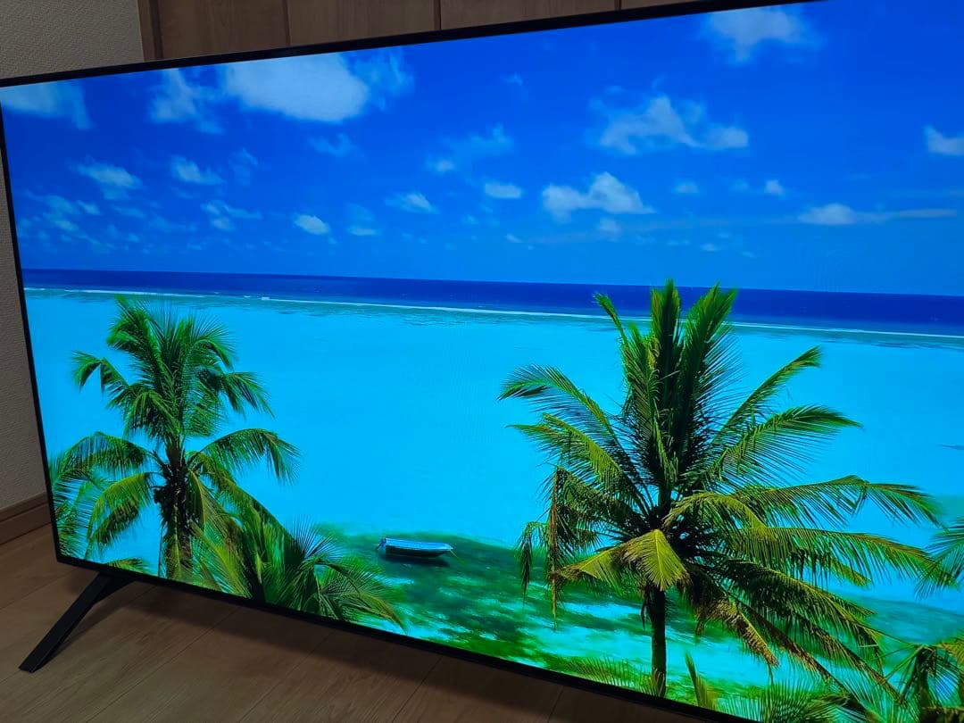 【美品】48V型 有機ELテレビ OLED48A1PJA