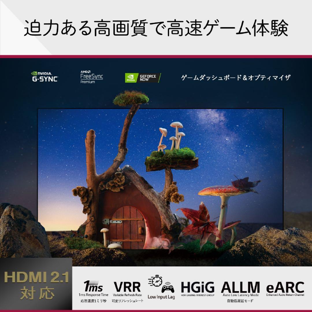 極美品　値下げ　液晶　55型 TV 4K 有機ELテレビ