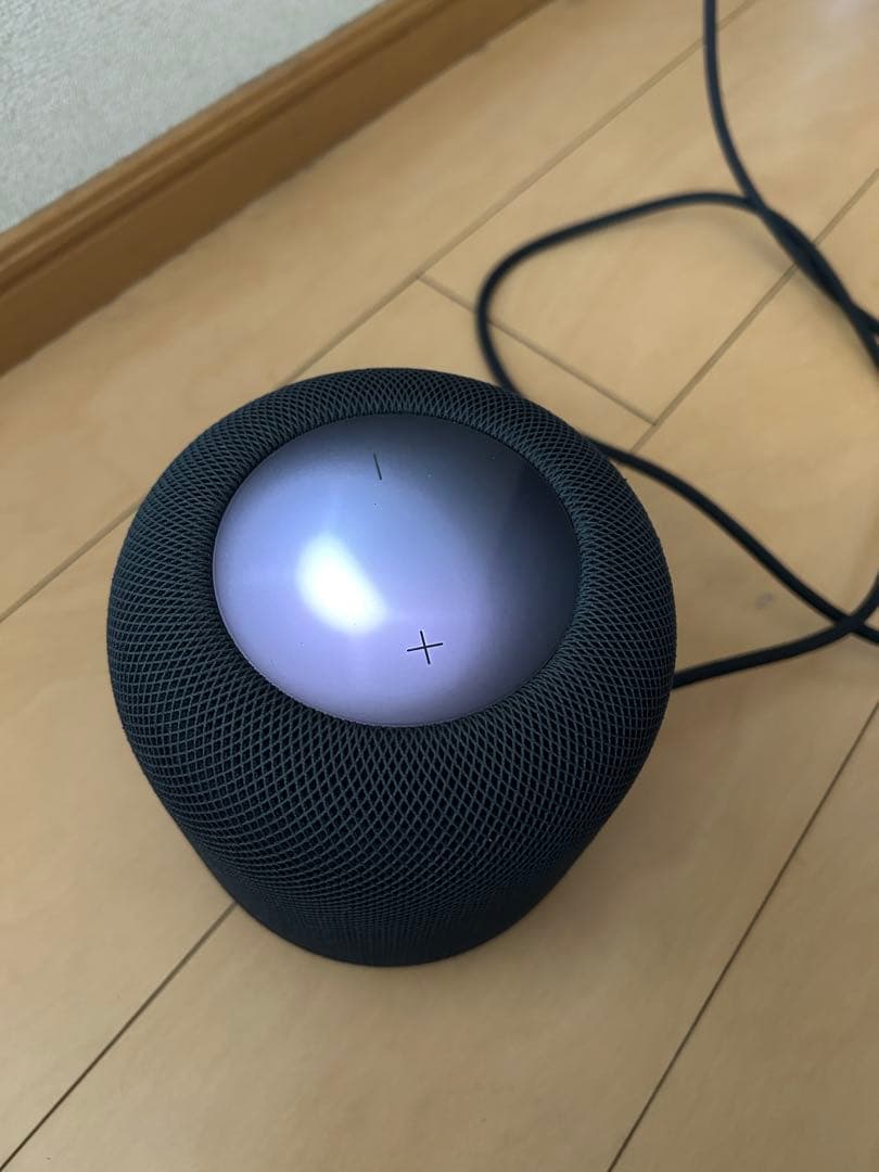 【ジャンク品】Apple Pod 第2世代 ブラック 箱付き