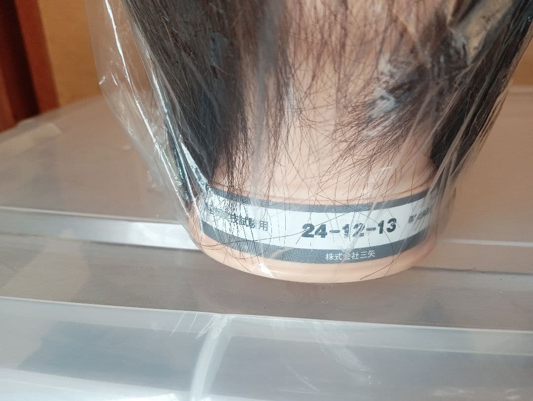 新品未使用！ 国家試験用カットウィッグ24-12-13 6体セット