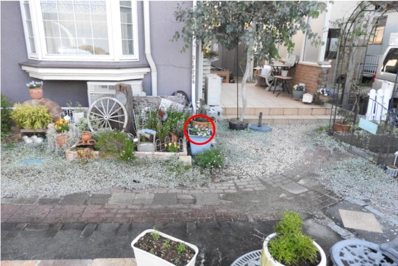 Nikon Coolpix P610 レッド 60倍光学ズーム