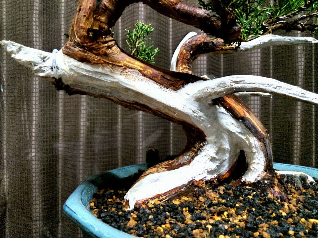 【中品　真柏盆栽】　　　　　⭕鈴様、専用❗