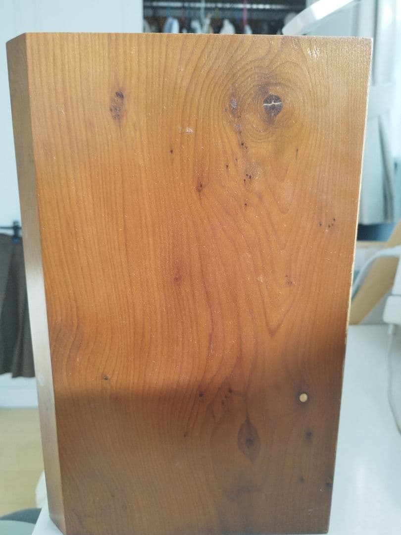 【希少】Acustik Labo Bolero スイス製スピーカーペア！