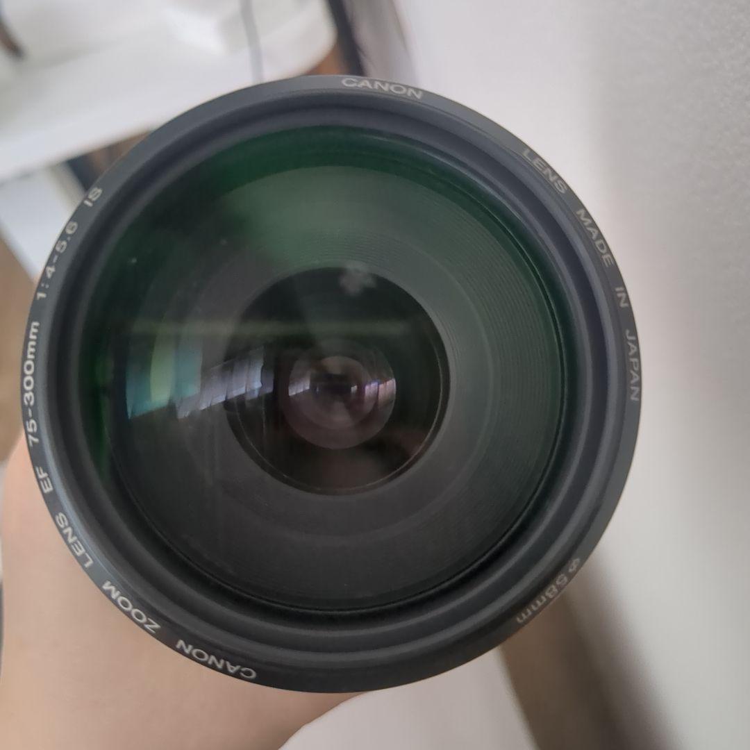 Canon キャノン ズームレンズ EF 75-300mm F4-5.6 IS