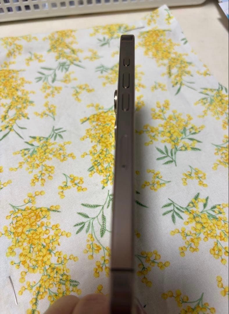 たみ☆グッズ整理中 専用　Apple SIMフリー スマートフォン 本体