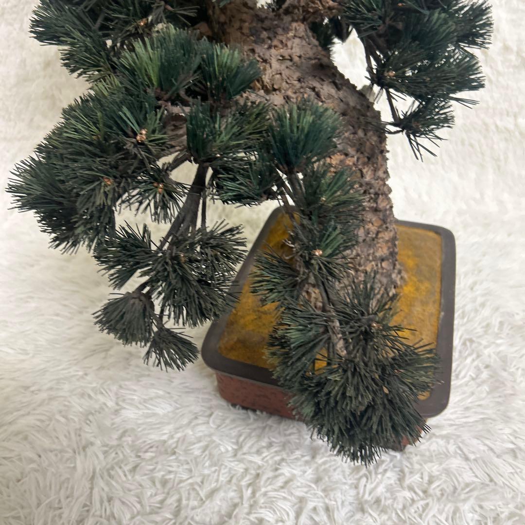 【美品】造花 盆栽 レプリカ 松　ビッグサイズ