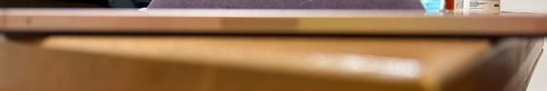 iPad mini Wi-Fi + Cellular 64GB ピンク