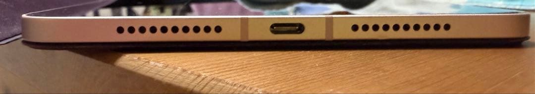 iPad mini Wi-Fi + Cellular 64GB ピンク