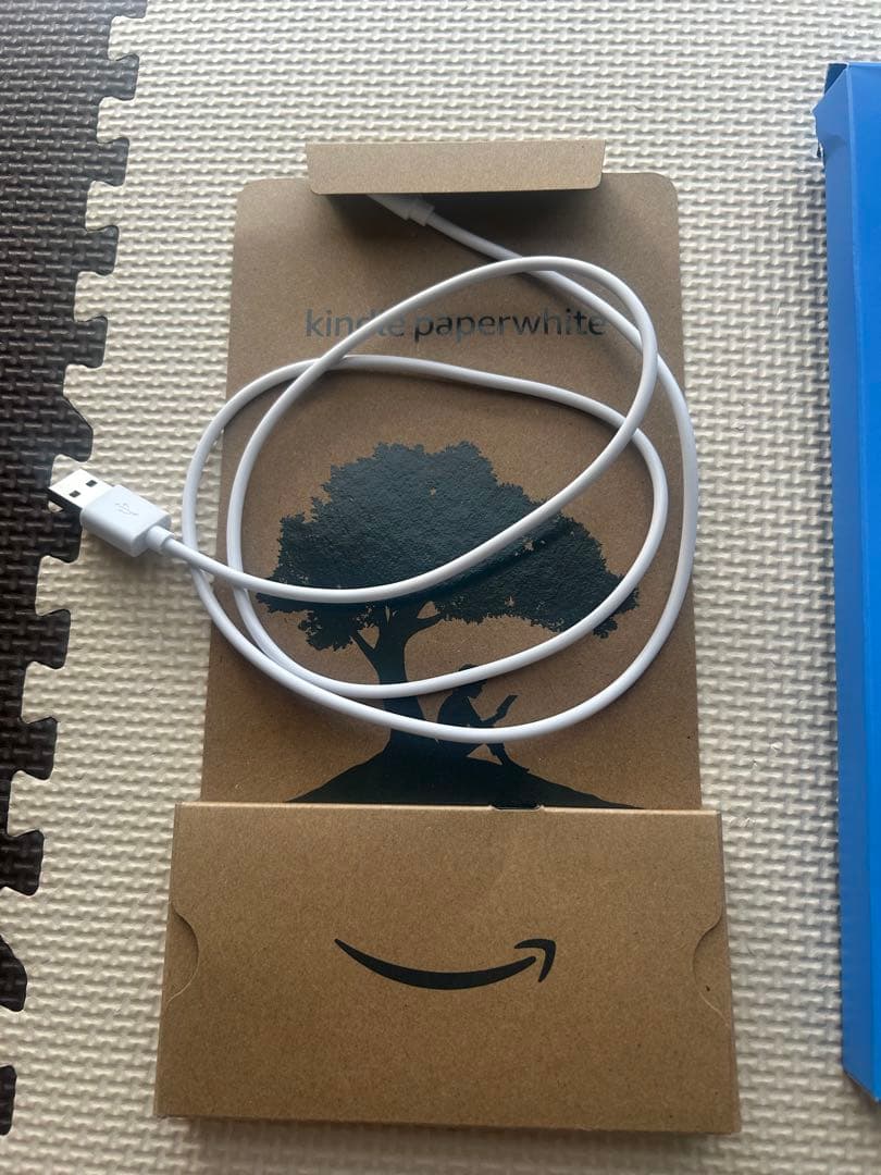 Kindle Paperwhite 11世代　32GB ケース&フィルム（1枚）