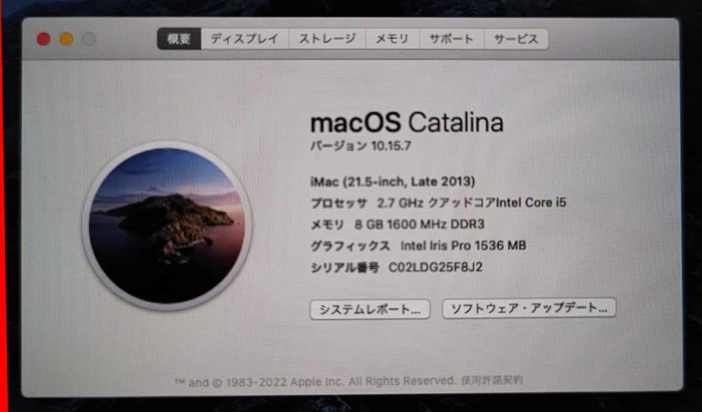Macデスクトップ iMac 21.5 Late 2013 Core i5 8GB 1TB