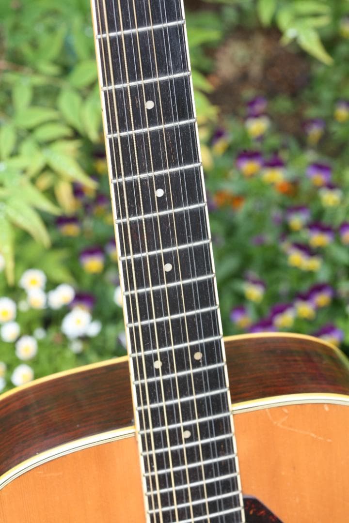 ヤマハ 12弦ギター FG12-301