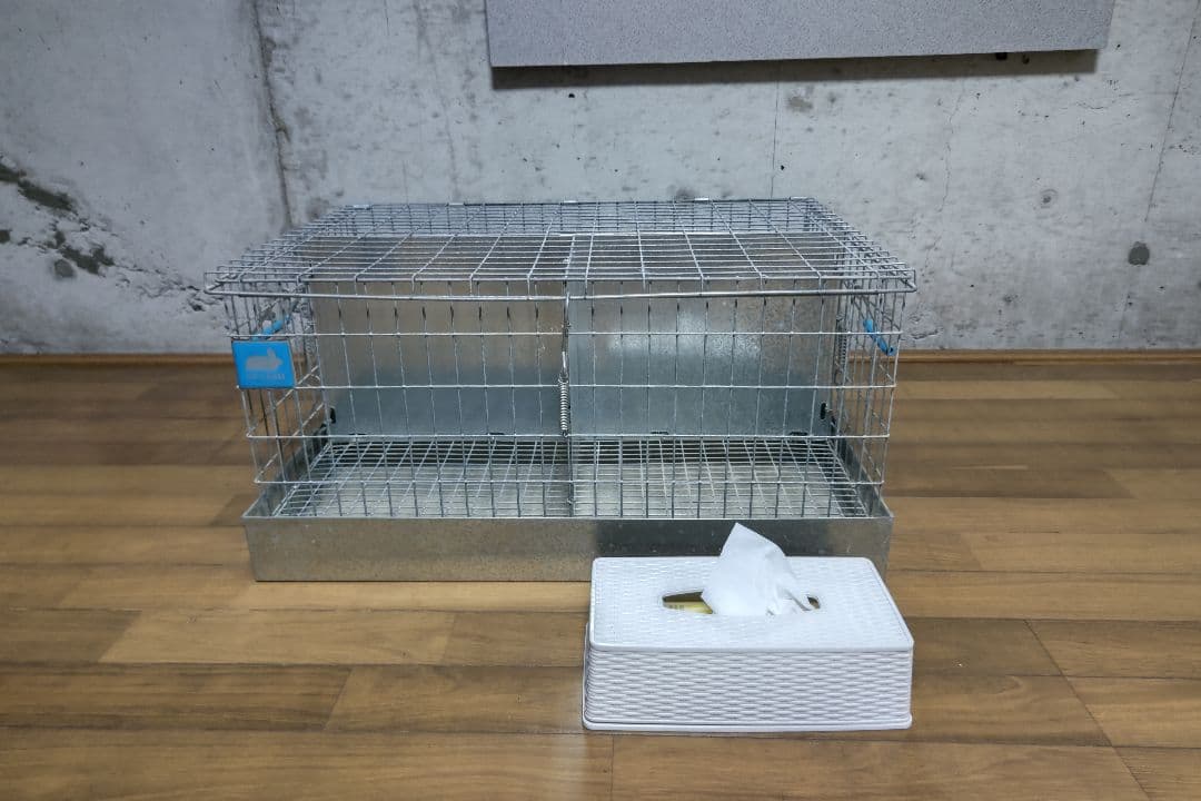 KWケージ　レア　うさぎ　輸入ケージ　4羽キャリー　中古品