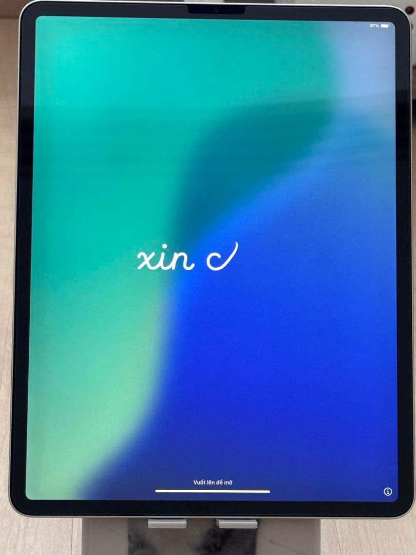 Apple iPad pro12.9インチ　64GB Wi-Fi第3世代