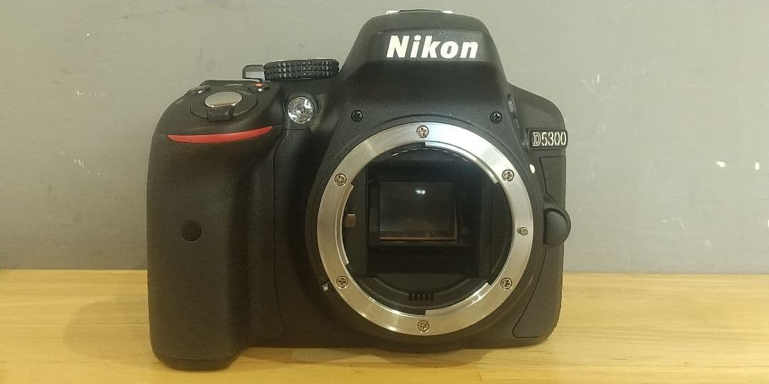 ニコン D5300 18-52 VRⅡKit & 望遠ズームレンズ 55-200