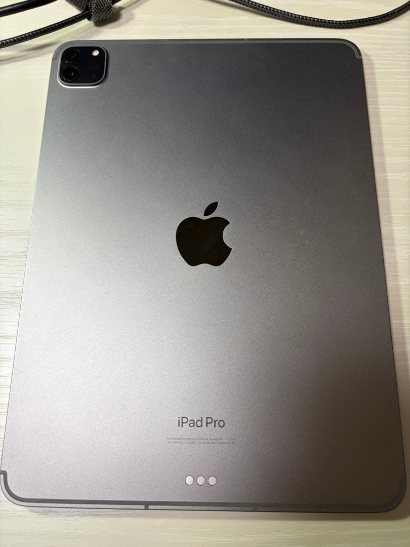 iPad Pro M2(第4世代)11インチ　セルラー　apple pencil
