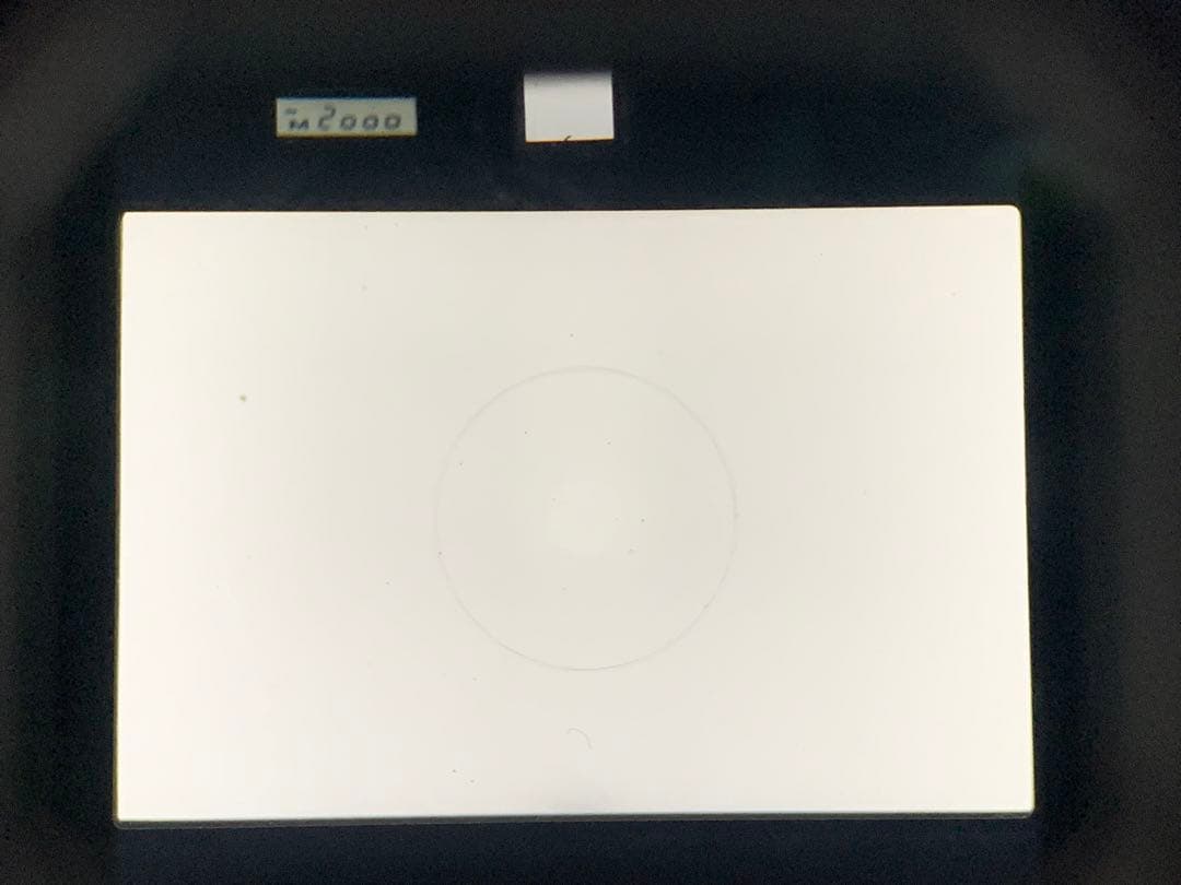 フィルムカメラ NIKON F3P