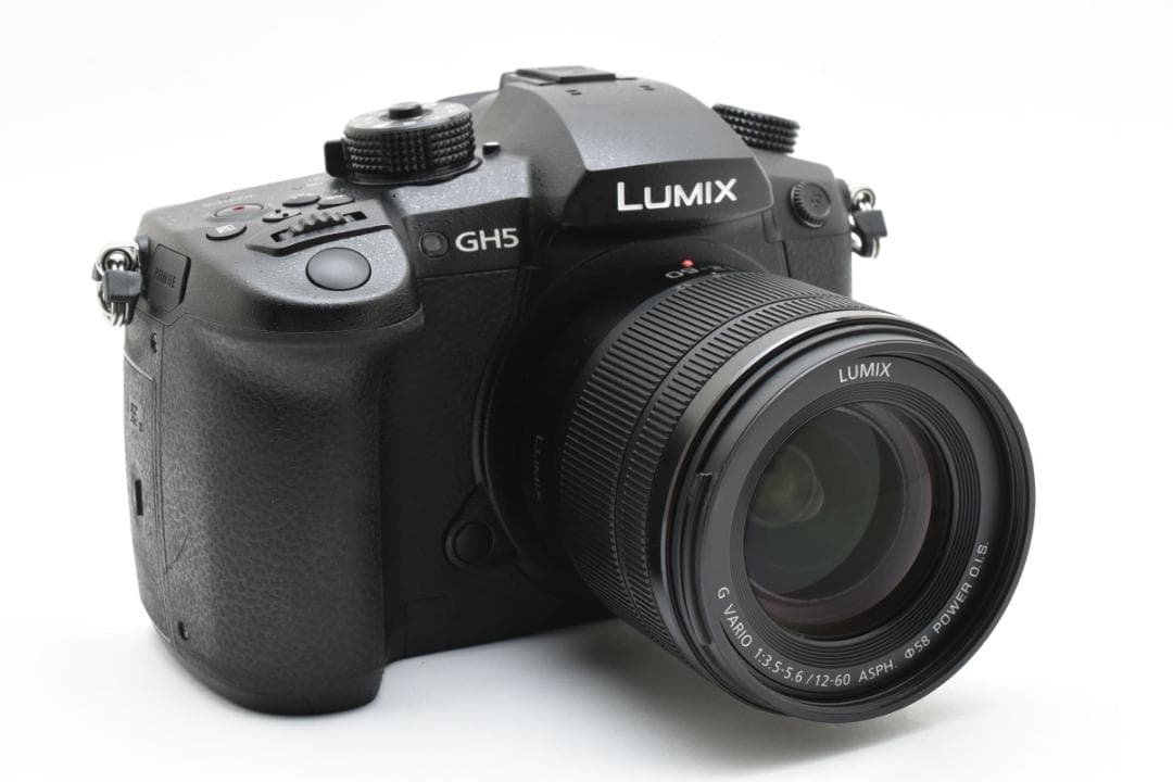 ■ショット数3451回■LUMIX DC-GH5 標準ズームレンズキット