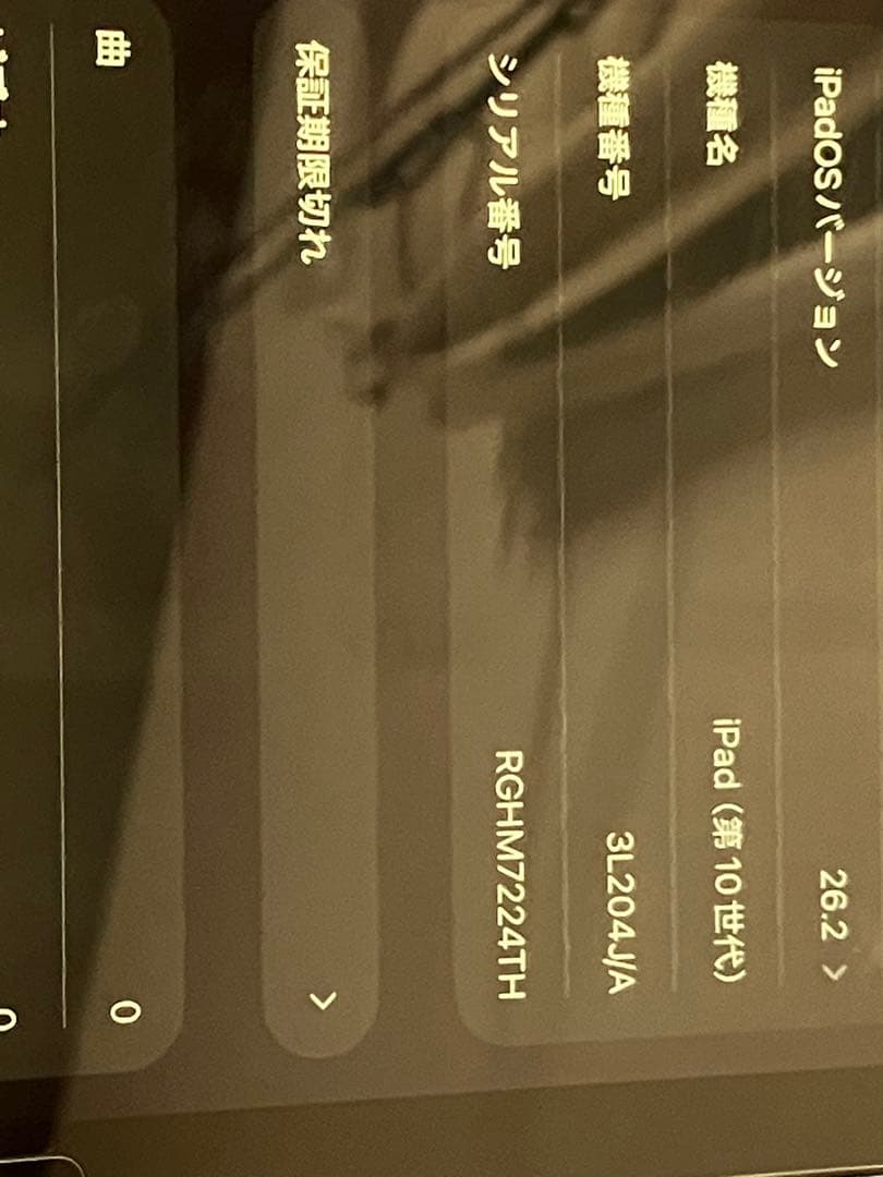 Apple iPad 第10世代 ブルー