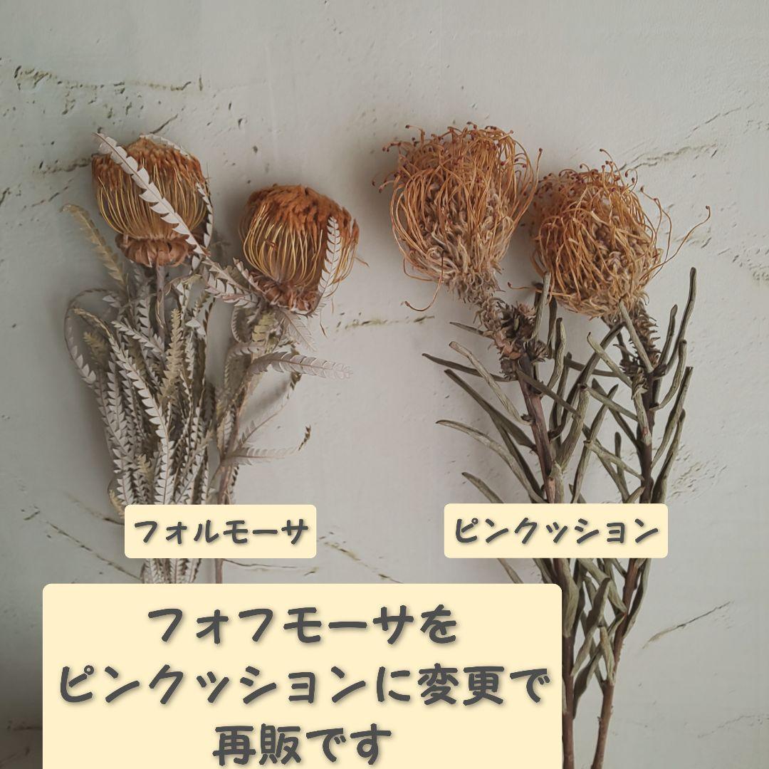 専用✨感謝sale✨迎春2022✨正月飾り レモン  (ドライ)