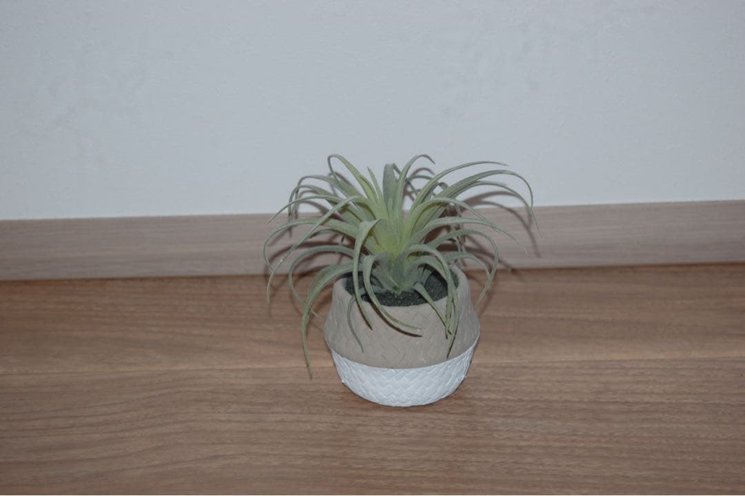 ✨一眼レフカメラ✨Nikon D40 手軽に始めたい方 高画質 軽量 簡単操作