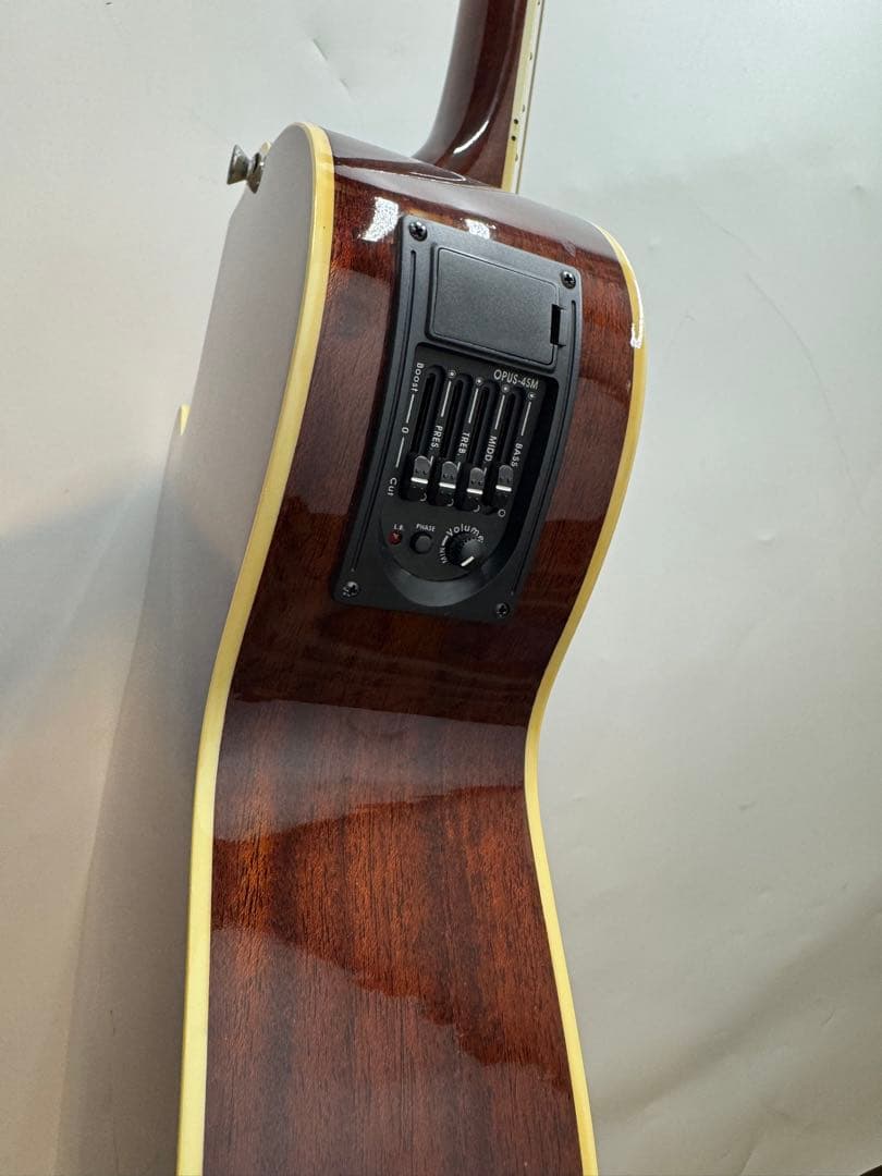 james je40wb エレアコ　アコースティックギター　アコギ