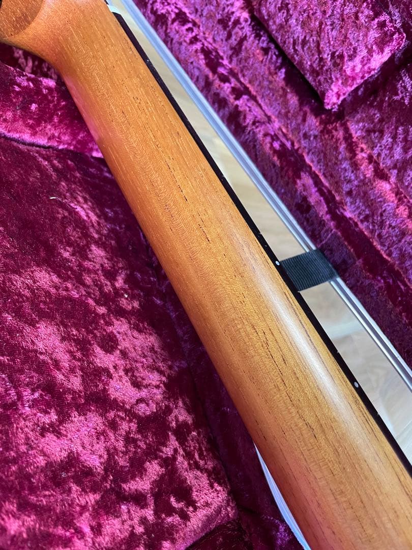 ギター Lakewood A-45 Custom Ziricote Europian