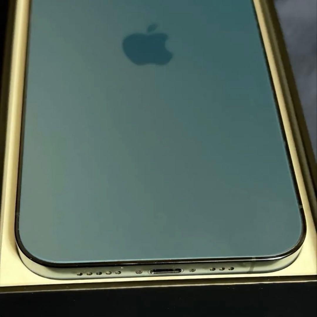 y*n様 iPhone 12 Pro 512GB Model A2408