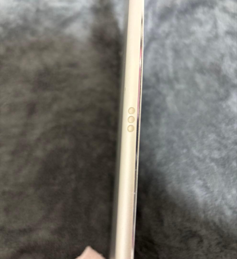 iPad Pro 12.9インチ 第2世代256GB Wi-Fiモデル 本体のみ