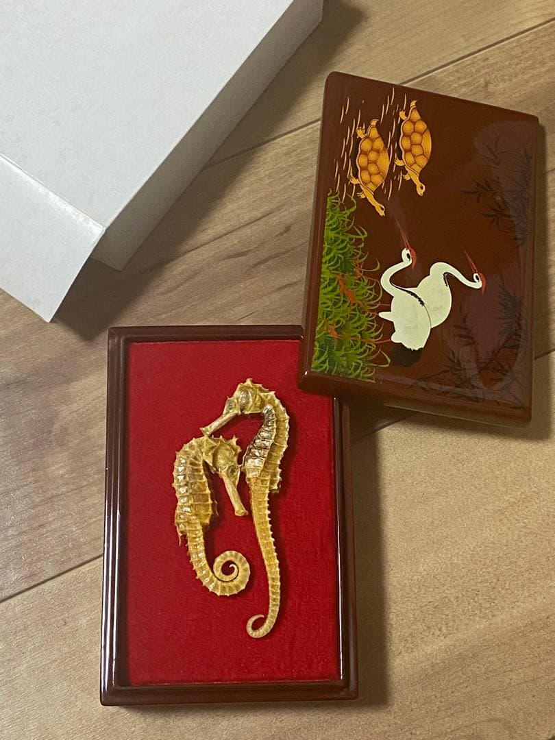 開運 縁起物 タツノオトシゴ 乾燥 標本　2セット 4体