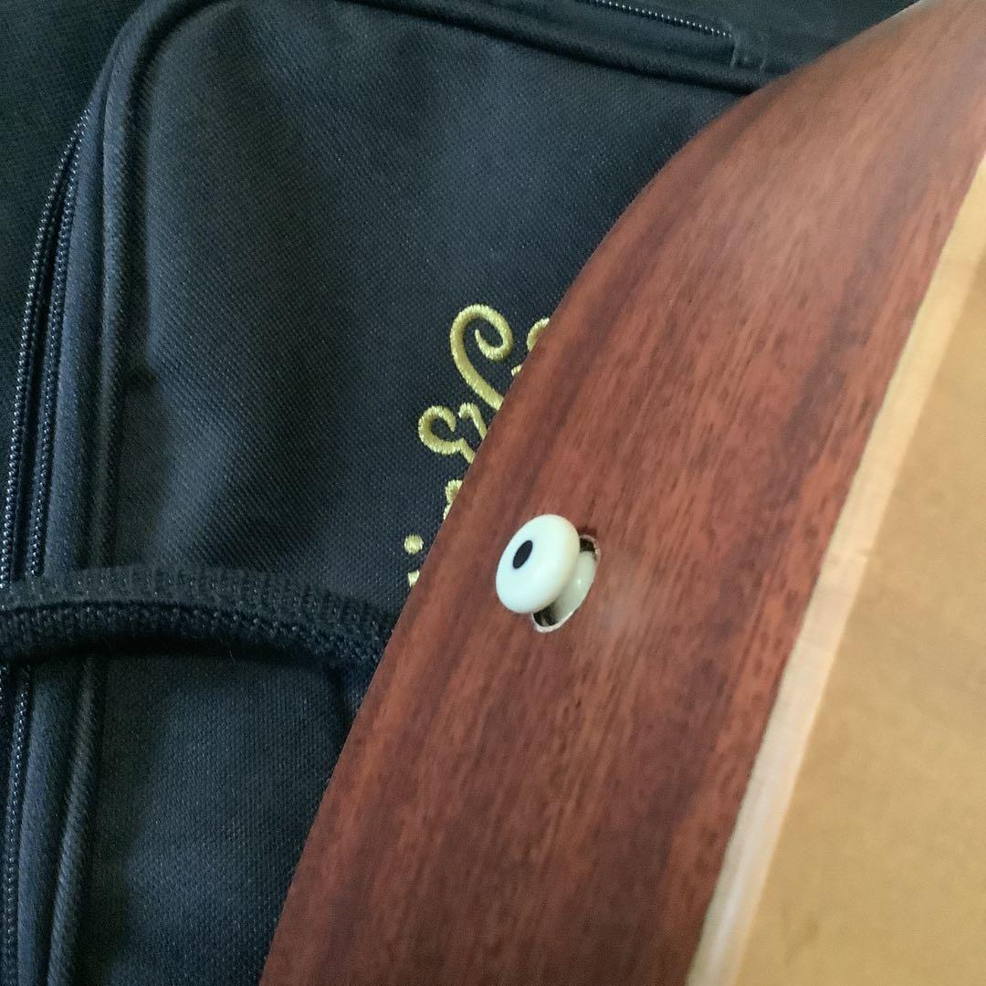 リトルマーチン LX1 Little Martin バッグ付き