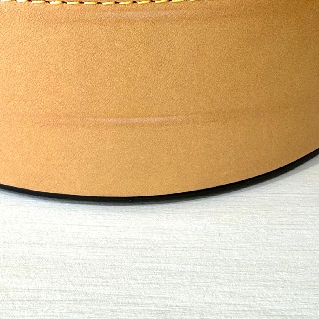 【展示品】ルイ・ヴィトン アシェット４ タイガー レザーケース付き