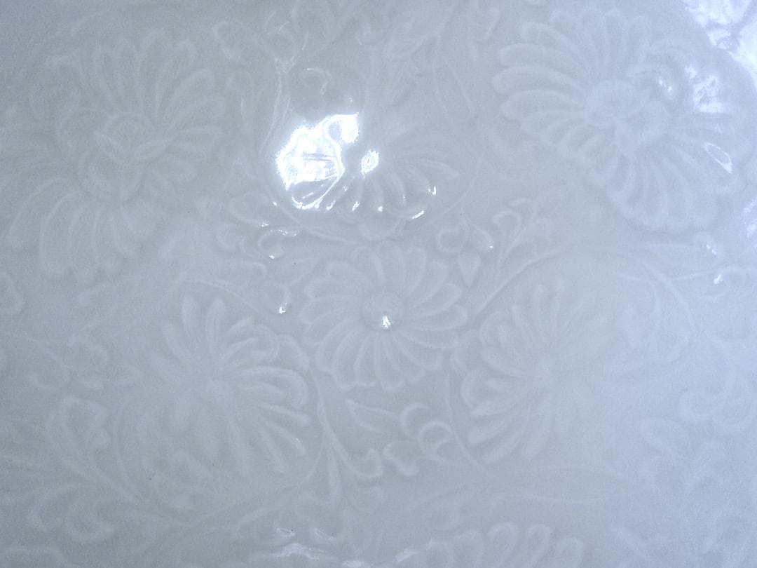 品格！【中国陶磁器　花文陽刻作上品物　鉢皿茶碗・G14】★水注　うっすら青み色合