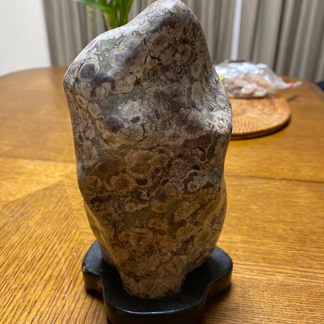 孔雀石　岐阜県根尾谷産