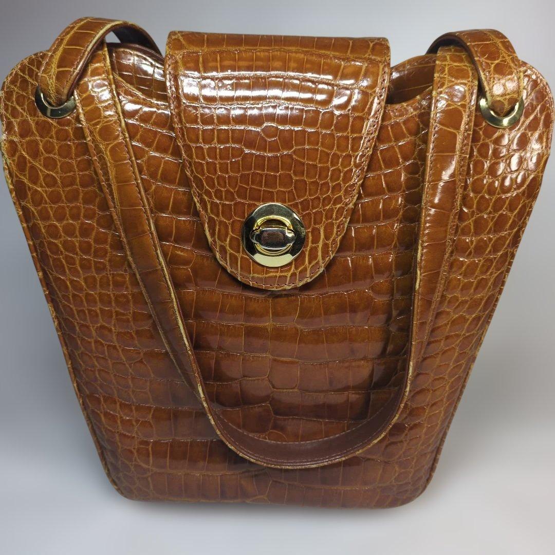 シャイニング　クロコダイル　バッグ　ブラウン　セット　サンタゴスティーノ
