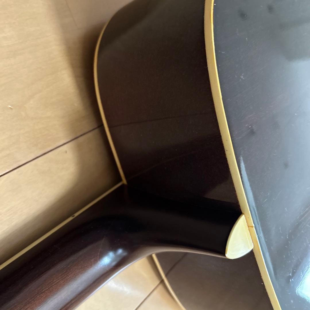 ぴょんたんCat's Eyas CE-200 東海楽器工房