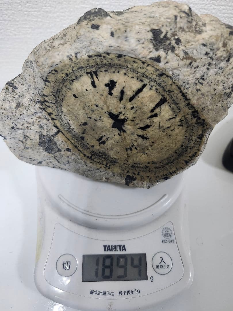 時計石 鑑賞石 レトロ 球状閃緑岩 鑑賞用鉱物標本ナポレオン石 天然石 台座付き