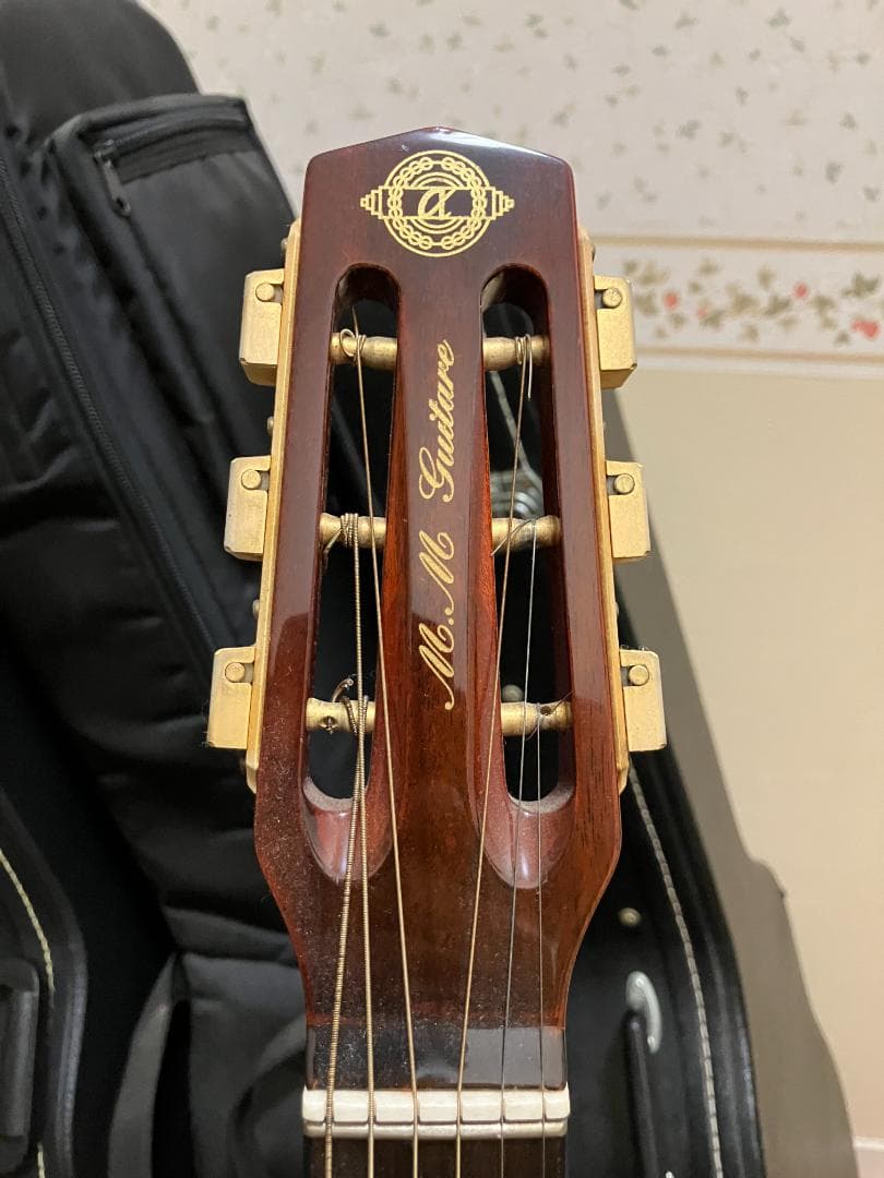 ARIA MM-20 DLX　ジプシージャズ　ギター　ハードケース付属