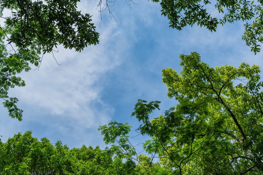 Nikon 24mm f/1.8G ED レンズ